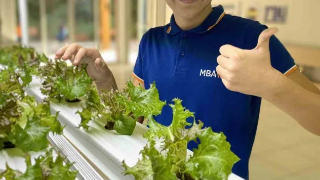 MBA Okullarında dikey tarım uygulamaları başladı