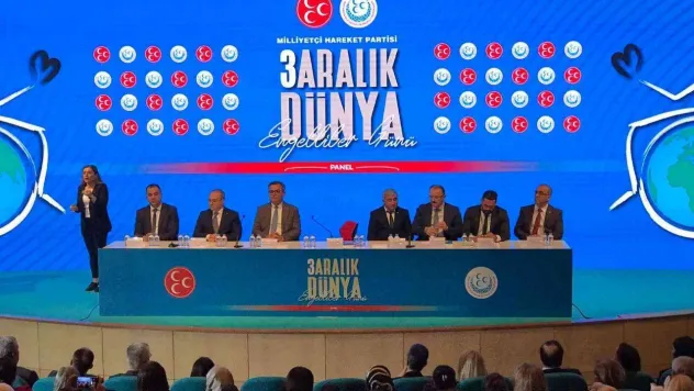 MHP'den Engelliler Günü'nde 'Engelsiz Yaşam Paneli'