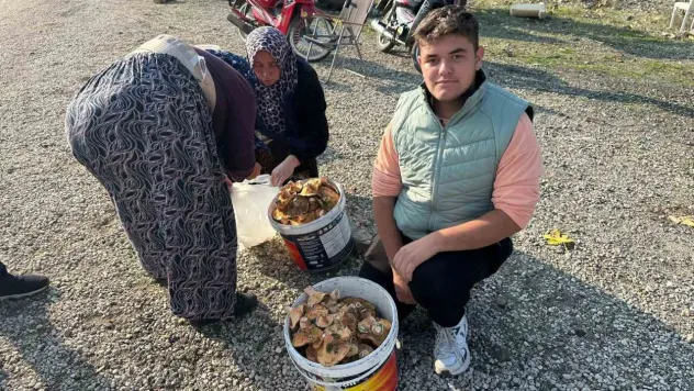 Okul harçlığını 'kanlıca'dan çıkarıyor