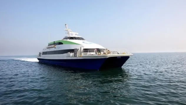 Olumsuz hava şartları deniz ulaşımını vurdu: BUDO'da çok sayıda sefer iptal