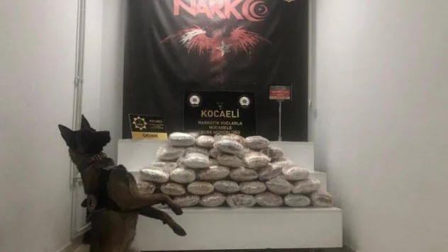 Polisi peşine takıp, uyuşturucu dolu çantaları ormanlık alana attı ama kurtulamadı