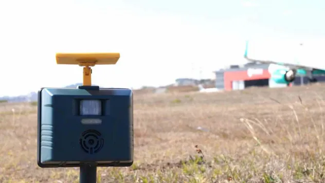Sabiha Gökçen'de uçuş emniyeti için 7/24 yaban hayatla mücadele devam ediyor
