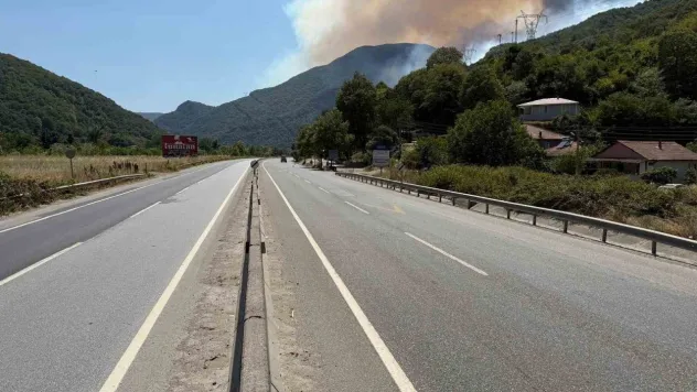 Sakarya'da yangın nedeniyle Bilecik istikametine yol kapatıldı, bazı evler tahliye edildi