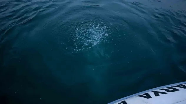 Sapanca Gölü'ndeki kabarcıkların verdiği endişe artıyor: 'Herkes korkuyor, rahat uyuyamıyoruz'