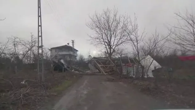 Şiddetli rüzgar ortalığı savaş alanına çevirdi: Yıkılan ağaçlar ve baraka yolu kapattı