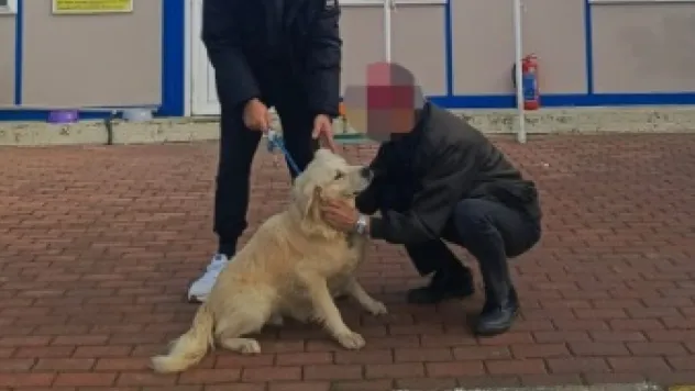 Silivri'de Can Dostlara Sıcak Yuva Sevinci