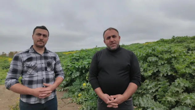 Silivri'de Kurbanlık Satışı Başladı