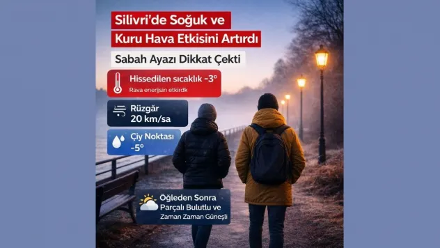 Silivri'de Soğuk ve Kuru Hava Etkisini Artırdı