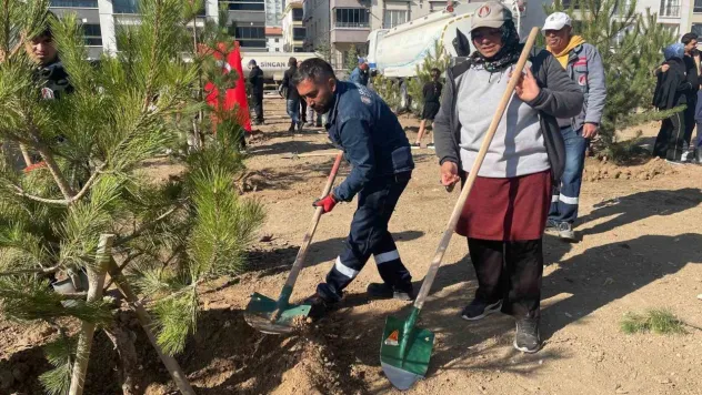 Sincan Belediye Başkanı Ercan: 'Sincan'da kişi başına düşen yeşil alan için 15 metrekare civarında bir alandan söz edebiliriz'