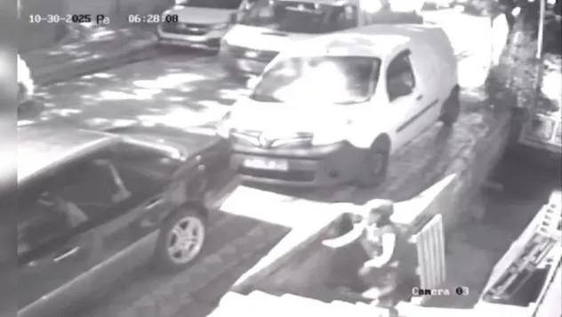 Sultangazi'de paletleri kamyonete yükleyip çaldılar: 1'i kadın 2 hırsız rahat tavırlarıyla dikkat çekti