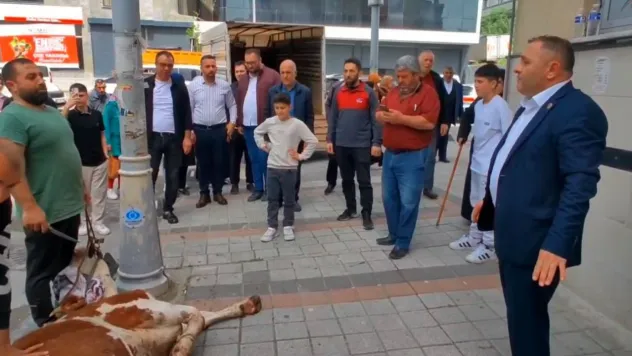 Sultangazi'de seçimi bin 200 oy fark ile kazanan muhtar dana kesti