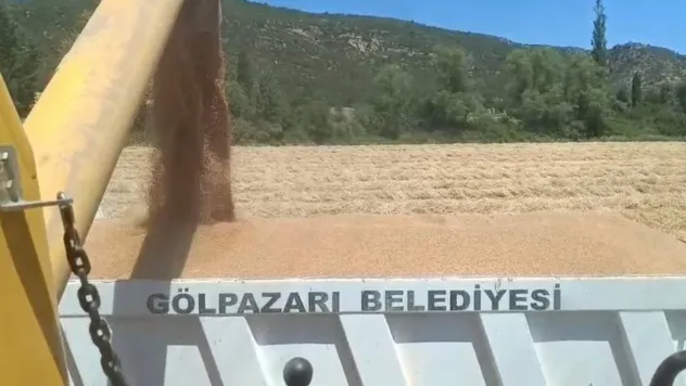 Tarım arazilerinde hasat sevinci