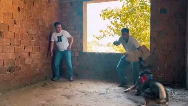 Tekirdağ'da jandarmadan nefes kesen tatbikat: Rehine kurtarıldı, zanlı yakalandı