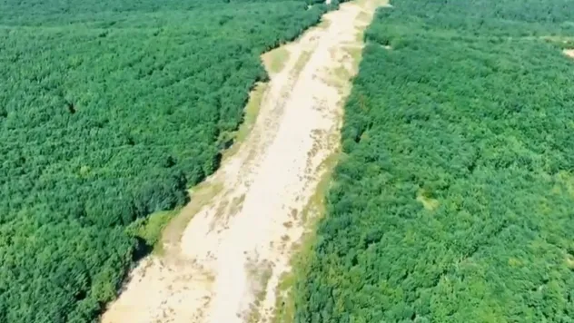 Tekirdağ'da orman nöbeti: Jandarma kaçak kesimlere geçit vermiyor