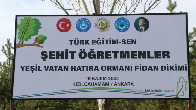 Türk Eğitim-Sen Genel Başkanı Geylan: 'Maalesef her yıl on binlerce hektarımız yanıyor'