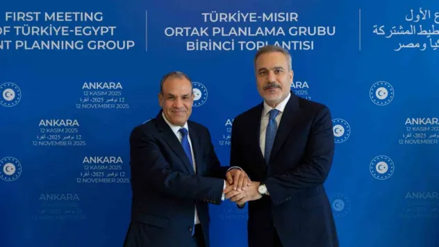 Türkiye-Mısır Ortak Planlama Grubu Birinci Toplantısı başladı