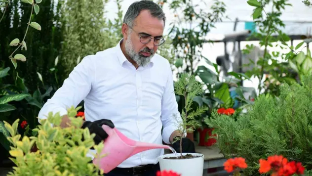 Türkiye'nin süs bitki ihtiyacının yüzde 60'ını karşılayan Kestel, gövde gösterisine hazırlanıyor