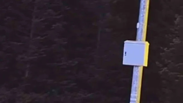 Uludağ'da kış uykusuna yatmayan ayılar, çöp konteynerlerini talan etti