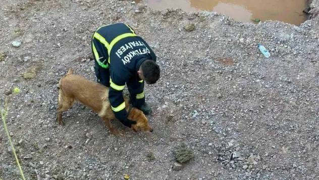 Yalova'da inşaat temeline düşen köpeği itfaiye kurtardı