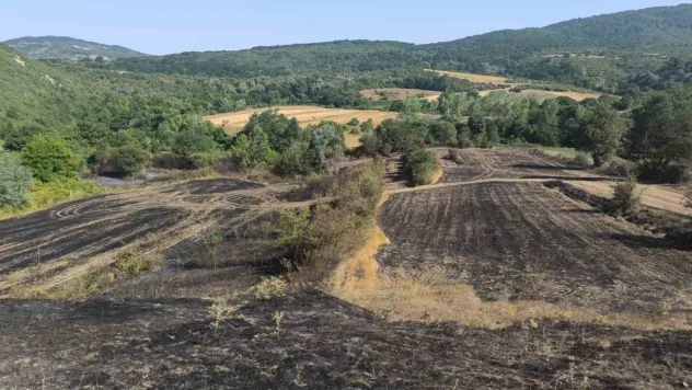 Yangında ekinleri zarar gören çiftçilere gübre ve tohum desteği