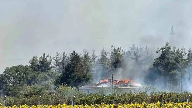 Yangında Uludağ Üniversitesine ait tesisin çatısı yandı