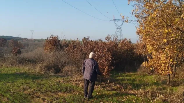 Yargıtay'dan kamulaştırma davasında emsal karar