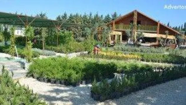 Silivri'de saklı kalmış bir yer 'Masalköy'