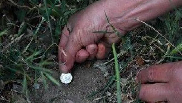 Yaz'ınız,bahar'ınız bereketli olsun...