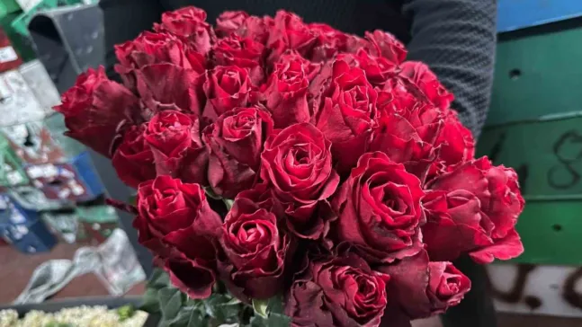 Kırmızı gülü yağış vurdu: Kenya ve Uganda gülleri revaçta