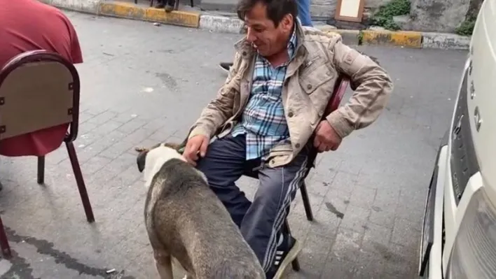 '7 Bela Taner' cinayetinde yaralanan 'Bobi'ye mahalleli sahip çıktı
