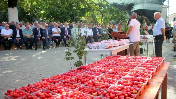 16. Şenköy Kızılcık Şenliği renkli görüntülere sahne oldu