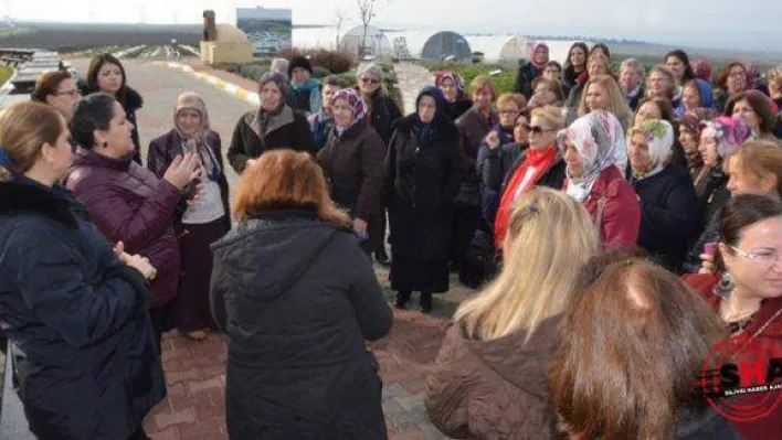 Mahalle Evi Kursiyerleri Tarım Çalışmalarını İnceledi