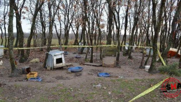 Ormana Bırakılan 6 Aylık Cenin Köpek Tarafından Bulundu