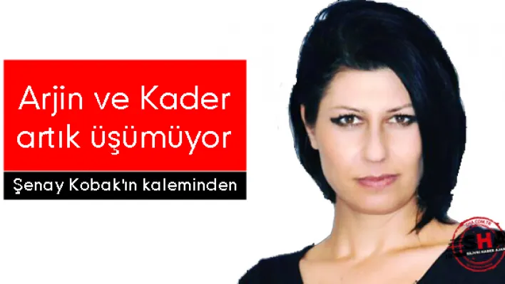 Arjin ve Kader Artık Üşümüyor