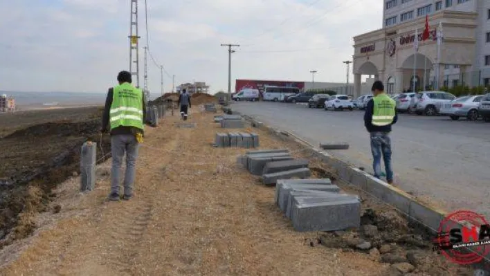 Üniversite Sokaklarına Tretuvar ve Asfalt Düzenlemesi