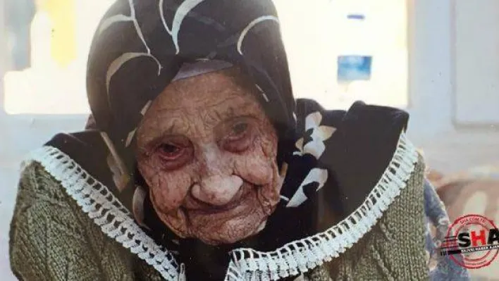 Alipaşa'nın Asırlık Çınarı hayatını kaybetti