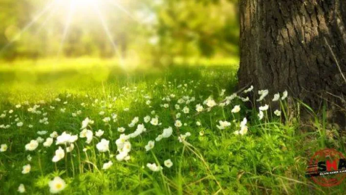 İlk Cemre Havaya Düşüyor