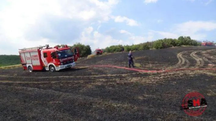 30 Dönümlük ekili alan kül oldu