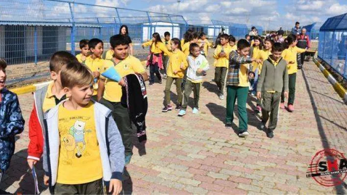 Belediyeden hayvanları koruma günü etkinlikleri