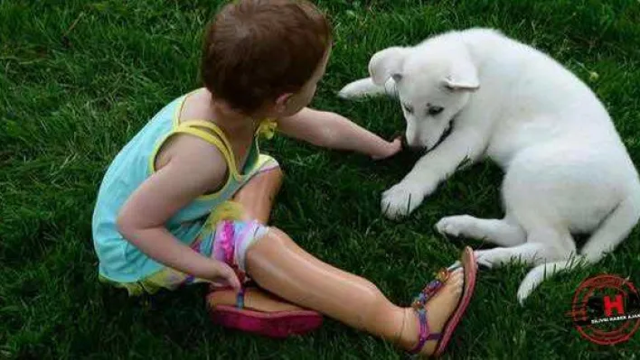 Ben onu almak istiyorum!