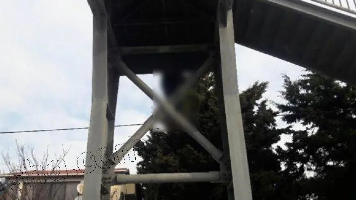 Celaliye'de korkunç manzara! Köprüye asılı halde bulundu