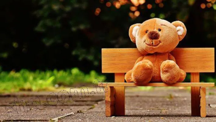 Kadınlar, Sevgililer Günü'nde peluş ayı istemiyor