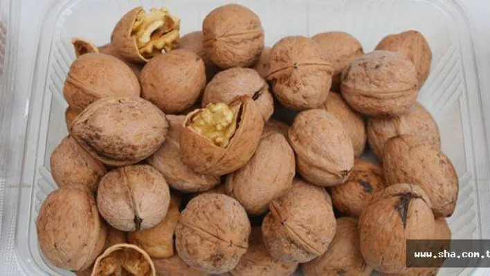 'Ceviz tüketimi kalp ve bağırsak sağlığı için faydalı'