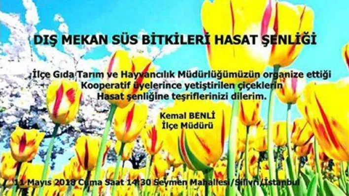 Çiçek hasat şenliği düzenleniyor