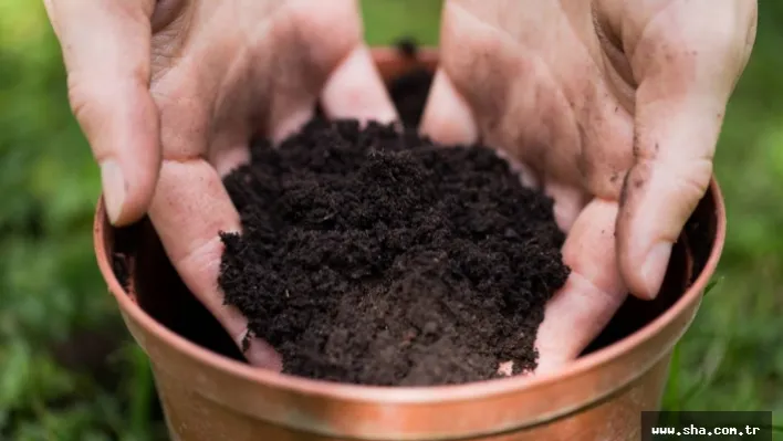 Dünya adi olabilir, sen adil ol !