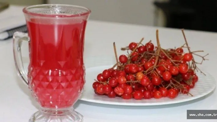 Bu meyve kansere karşı koruyor