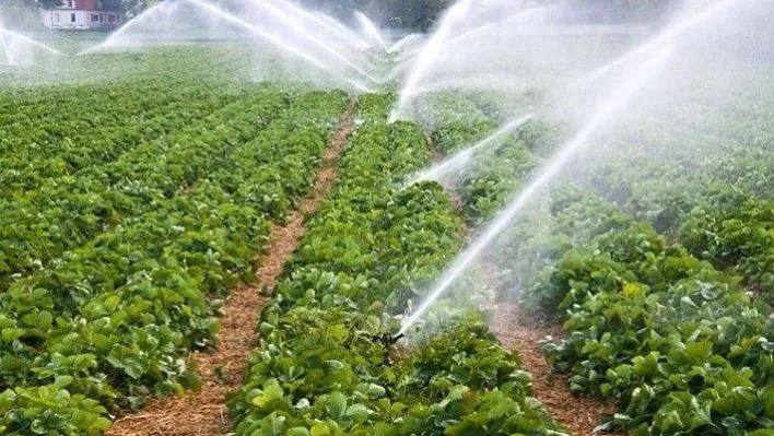 KKYDP Bireysel Sulama Sistemlerinin Desteklenmesi Müracaatları Başladı