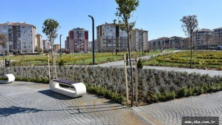 Çimlendirme çalışmaları tamamlandı