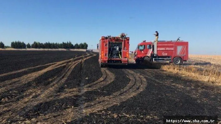 Gümüşyaka'da buğday tarlası yandı