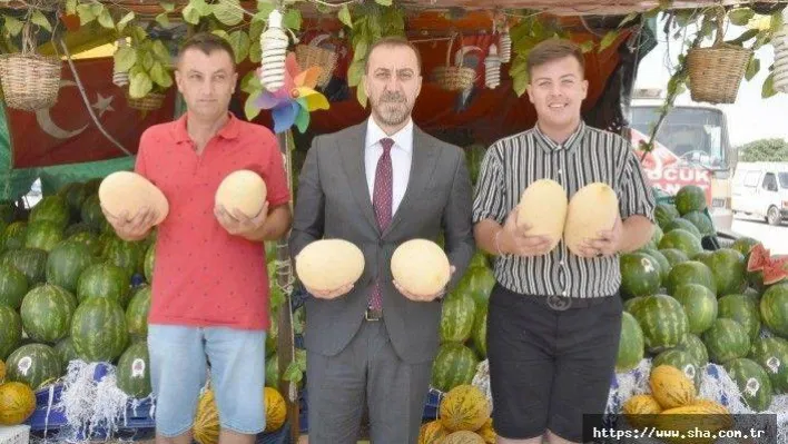 İlk Kavunu Başkan Yılmaz Topladı